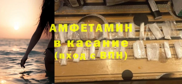винт Лагань