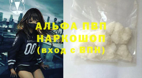 винт Лагань