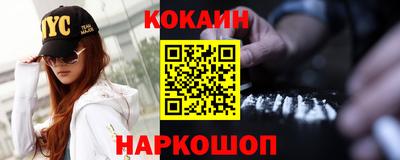 гашик Шелехов