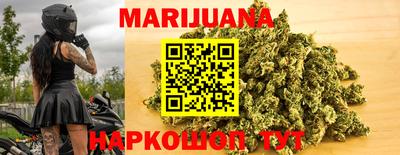 гашик Шелехов