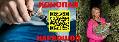 гашик Шелехов