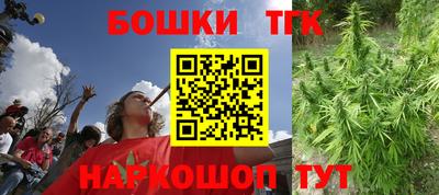 гашик Шелехов