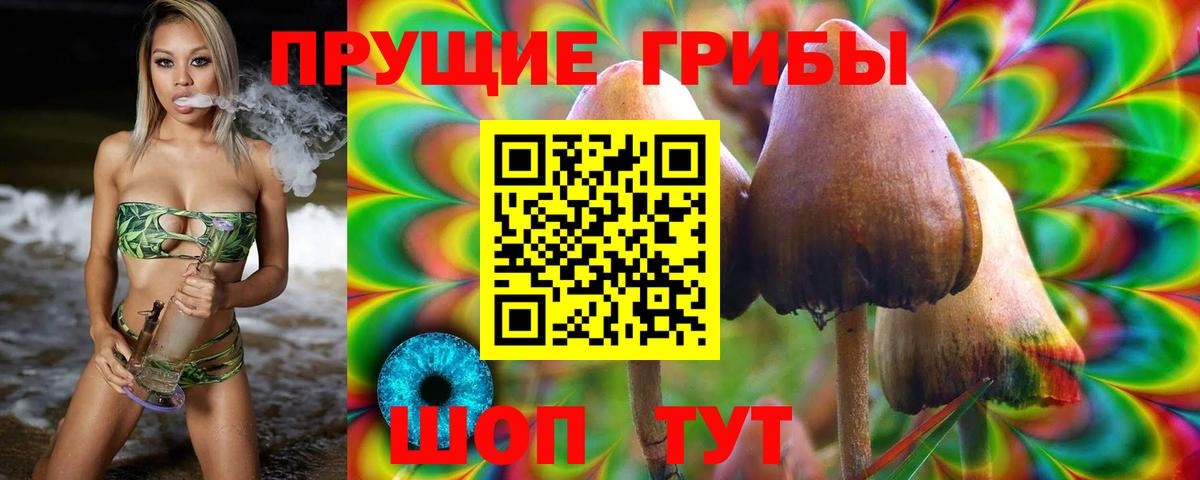 Галлюциногенные грибы Magic Shrooms  Псилоцибиновые грибы MAGIC MUSHROOMS  Морозовск  Вход с VPN 